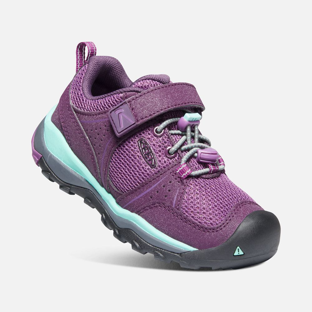 Baskets Keen Enfant Violette | Terradora Ii Sport Vent Shoes | BPLAJ-6502